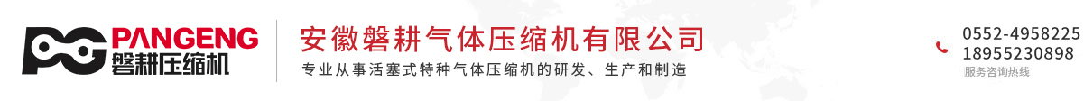 安徽磐耕气体压缩机有限公司